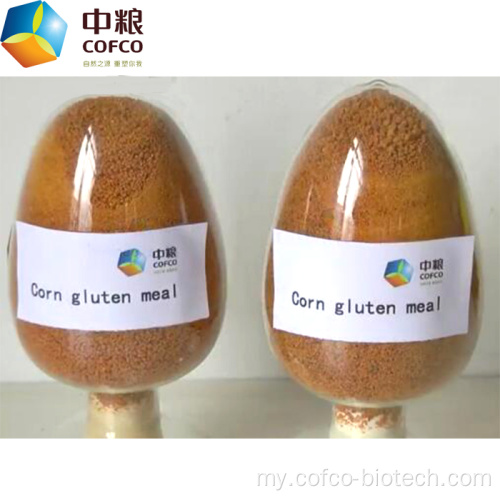 ပြောင်းဖူး gluten မုန့်ညက်အိမ်သိုလှောင်ရုံ